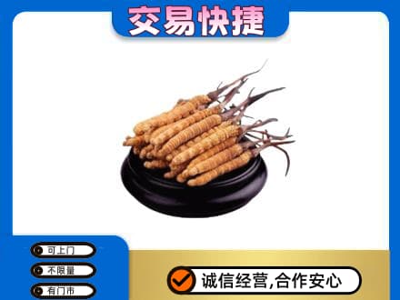 常德武陵区回收冬虫夏草多少钱每克